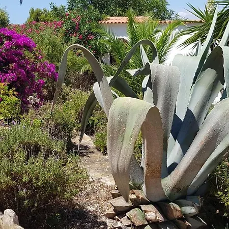 Casa Del Sol *