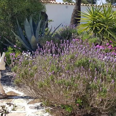 Villa Casa Del Sol *